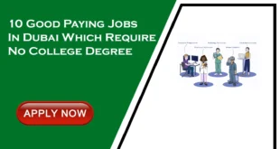 High Paying Jobs in Dubai With No Experience