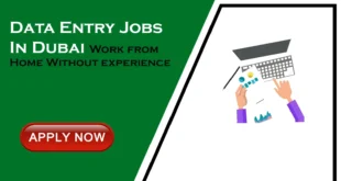 Work from Home Data Entry jobs in Dubai