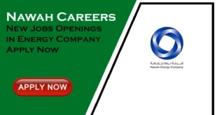 Nawah Careers for Freshers