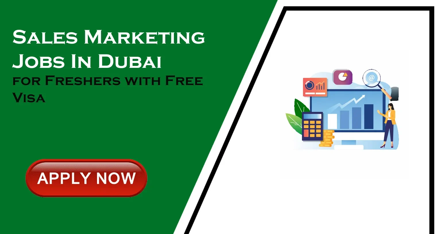 Entry Level Sales Marketing Jobs in Dubai