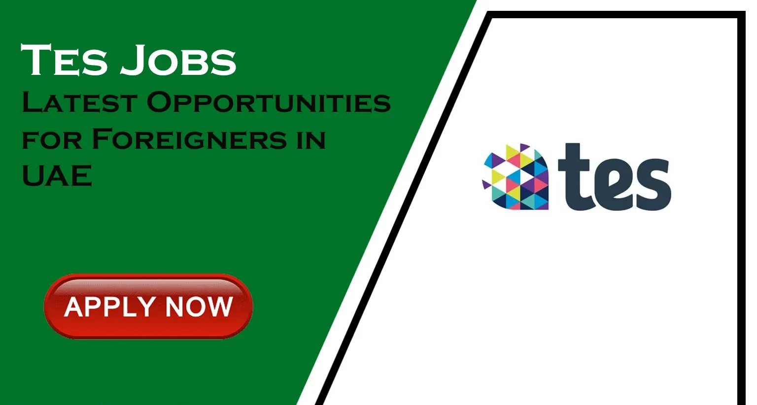 TES Jobs in United Arab Emirates 