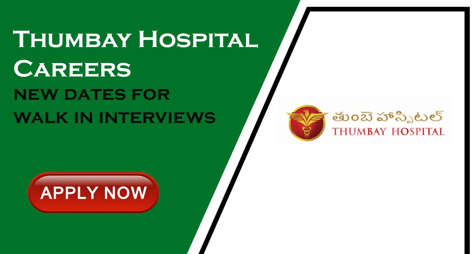 Healthcare Job Vacancies at Thumbay Hospital 