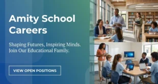 Amity School Careers For Freshers